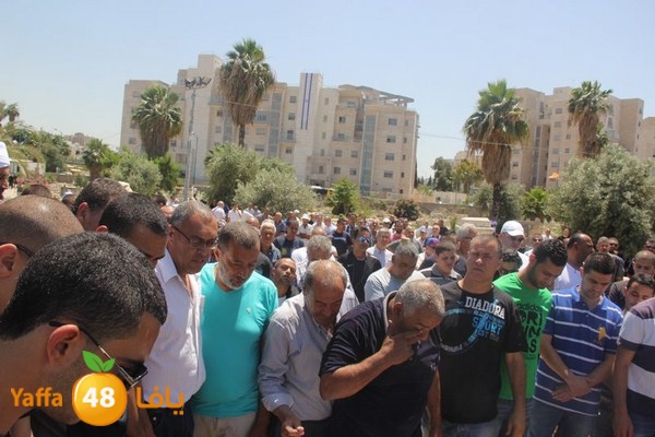 jaanzaa 0501 (24).JPG